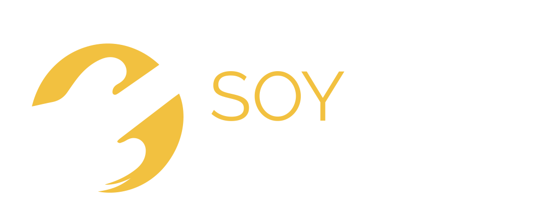 Soy bajista